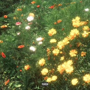 国产一区二区精品五月婷亚洲
