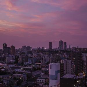 国产一区二区精品五月婷亚洲
