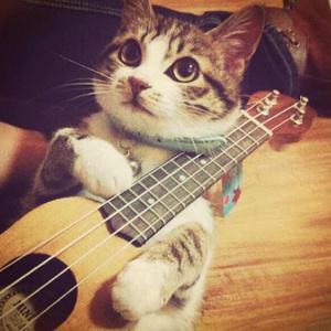 国产一区二区精品五月婷亚洲
