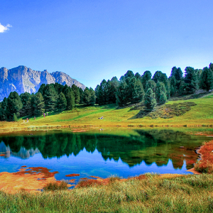 国产一区二区精品五月婷亚洲
